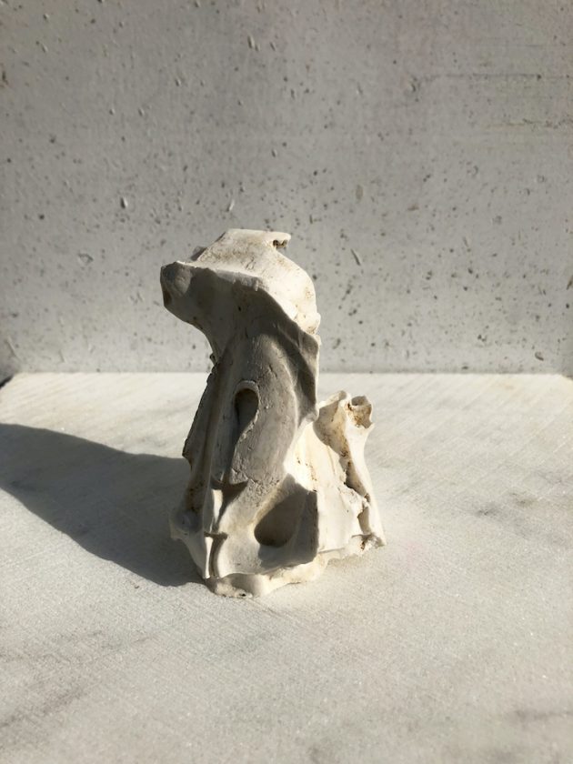 石膏で抽象彫刻を作ろう ー さや堂ホールを型取る | 展覧会関連